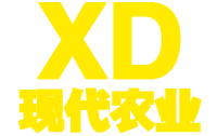 大理现代农业科技有限公司