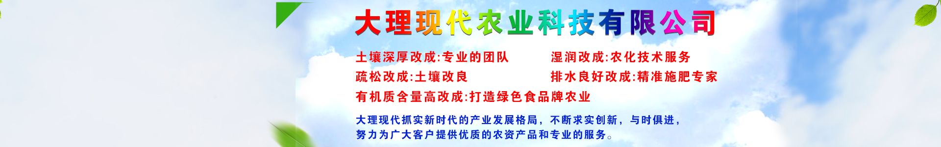大理现代农业科技有限公司