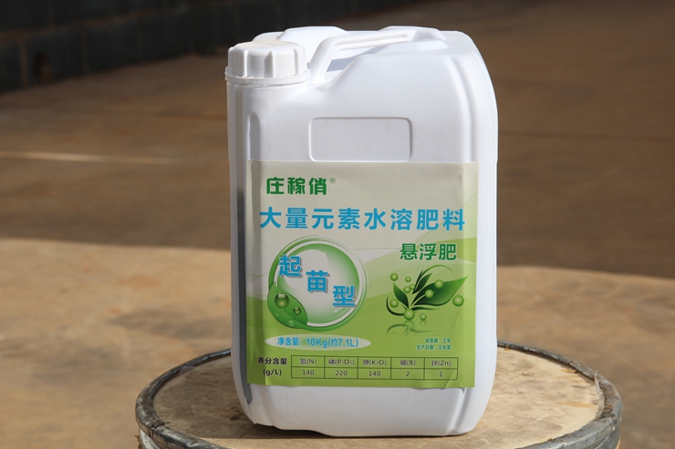 庄稼俏起苗型