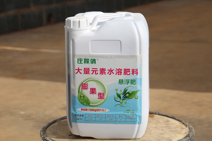 庄稼俏膨果型